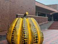 Fukuoka Art Museum: An Under S$10 Surprise in Ohori Park! 🎨✨