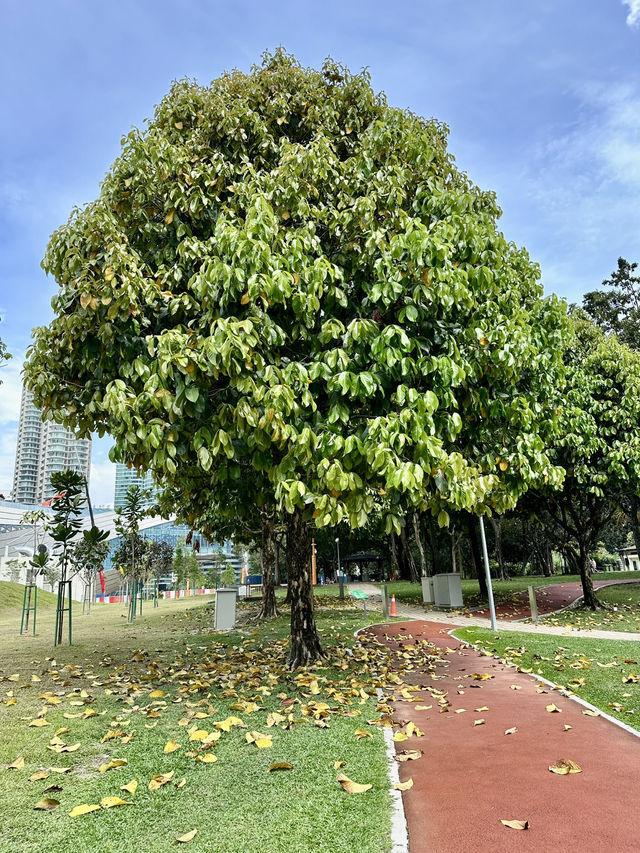 City Oasis: Masjid As-Syakirin at Golden Hour