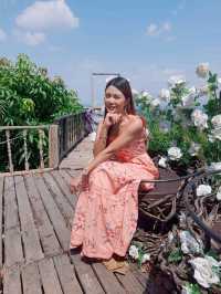 ภูฟิน ดอย เชียงใหม่ 