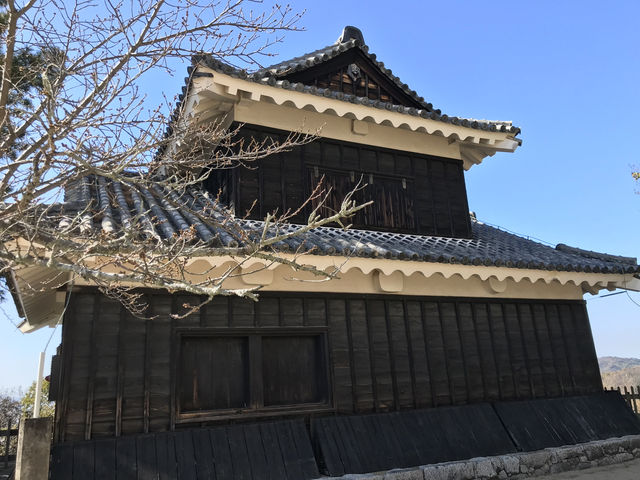 日本現存12天守-松山城