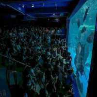 สถาบันวิทยาศาสตร์ทางทะเล มหาวิทยาลัยบูรพา 🐟🐠🐡🎏