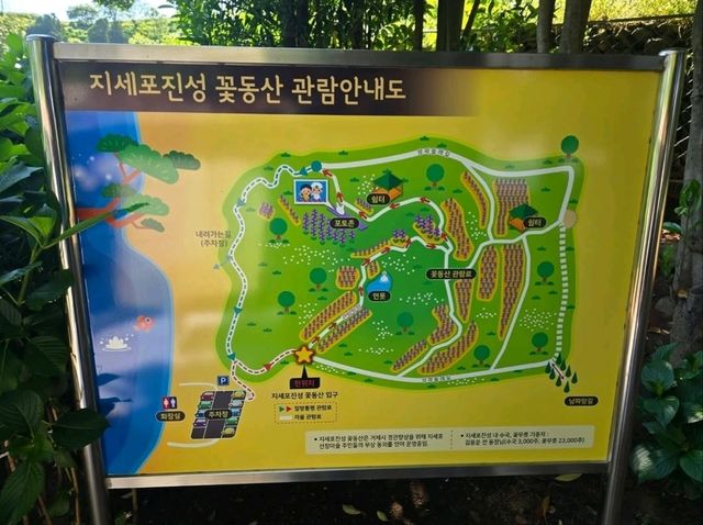 Flower Vibes at Jisepo