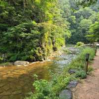 Hidden Waterfall Feels