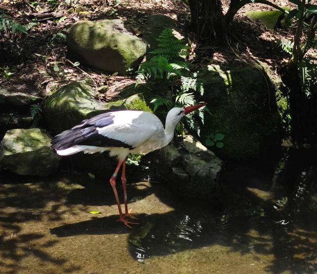  ～濱松市動物園～生命交響曲～