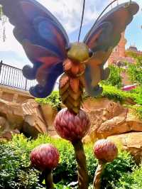 Get lost in Alice in Wonderland Maze!