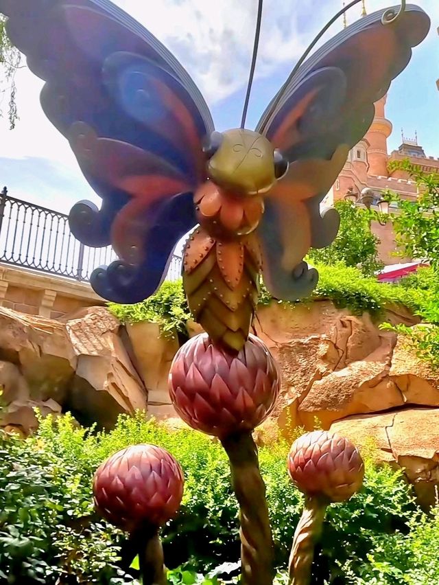 Get lost in Alice in Wonderland Maze!