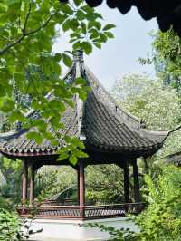 🌸 Discover Zuibaichi Park Shanghai | Ancient Poetry Garden & Tranquil Beauty
