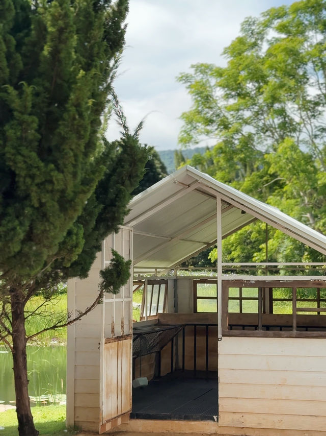 คาเฟ่เขาใหญ่ Bucolic Khaoyai 🌳🌲🍃🪵🧺🤎
