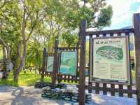 林田山 林業文化園區 🌳