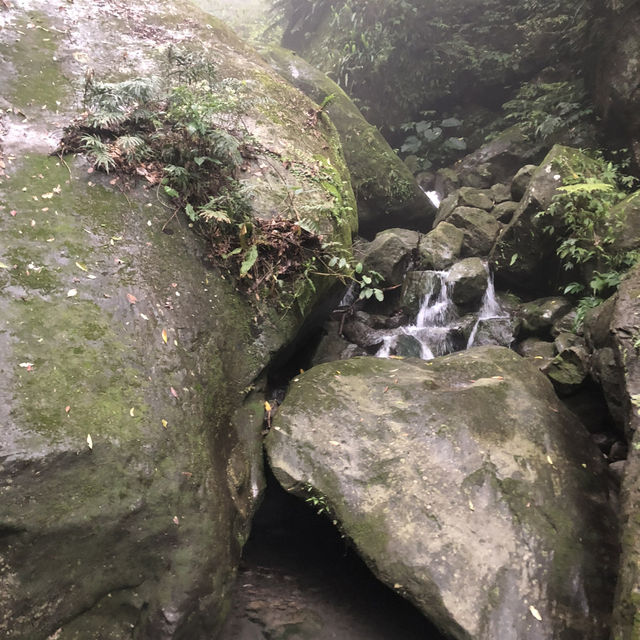 新竹馬武督森林遊樂區🌳