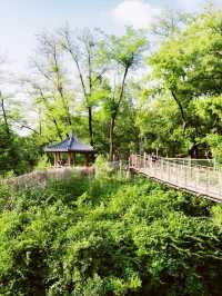 Dodeoksan Suspension Bridge 