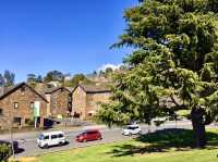 Strolling Through Storybook Greens: Summer Walks at Kings Park