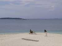 ที่พักบนเกาะส่วนตัวกลางทะเลอ่าวไทย