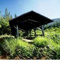 蘭嶼輕鬆健行的登山步道～大天池
