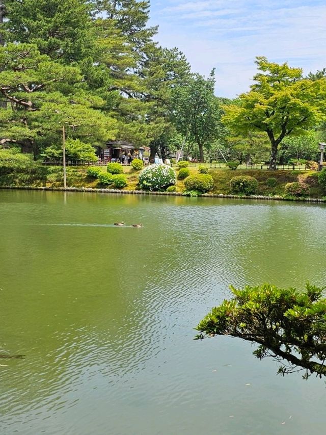 金澤｜兼六園中心四季皆美〔霞池〕