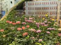  Wondrous Bloom โลกแห่งดอกไม้กลางแอร์