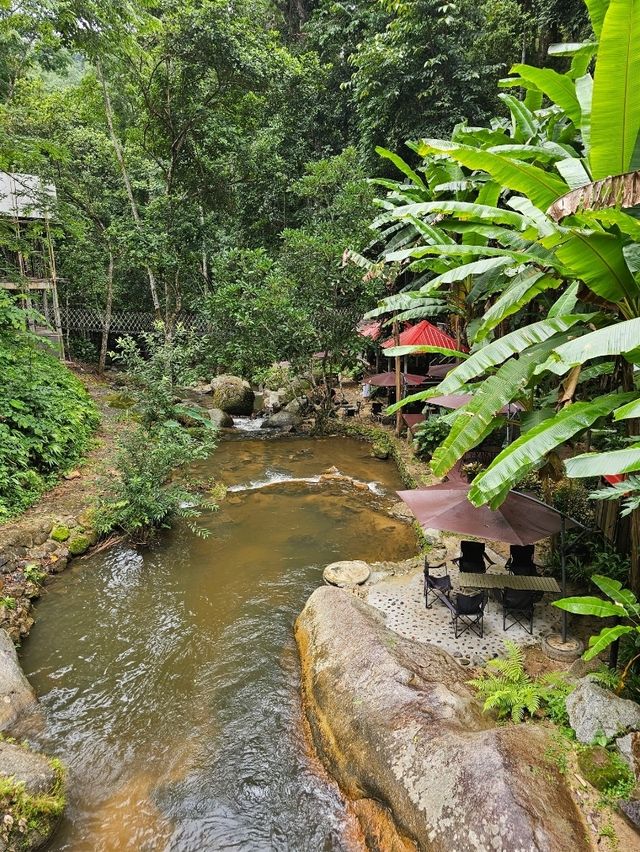 สมศรี มีกาแฟ  Somsee mee kafe บ้านปางไฮ