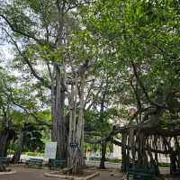 🔷️พระรามราชนิเวศน์ (วังบ้านปืน) | เพชรบุรี 🔷️