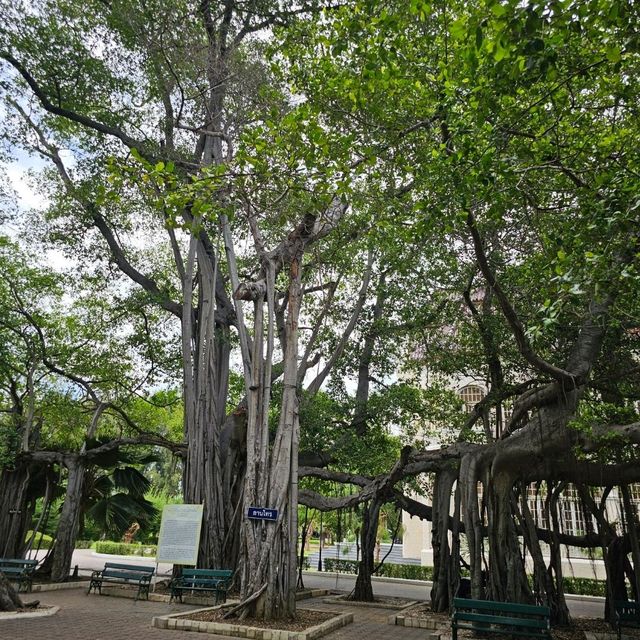 🔷️พระรามราชนิเวศน์ (วังบ้านปืน) | เพชรบุรี 🔷️