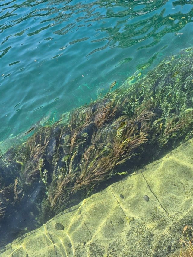 A random river in Zürich!