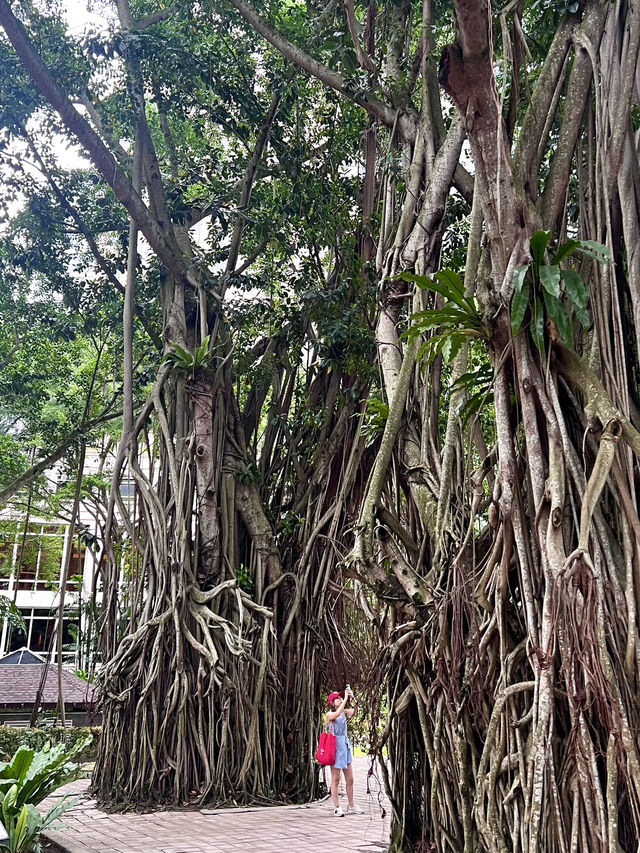 Where Skyscrapers Meet Serenity – Discover KLCC Park