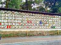 Echoes of Edo at Kan'ei-ji Temple complex