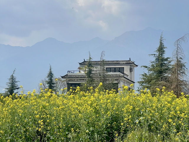 One fine day at Erhai lake in Dali!