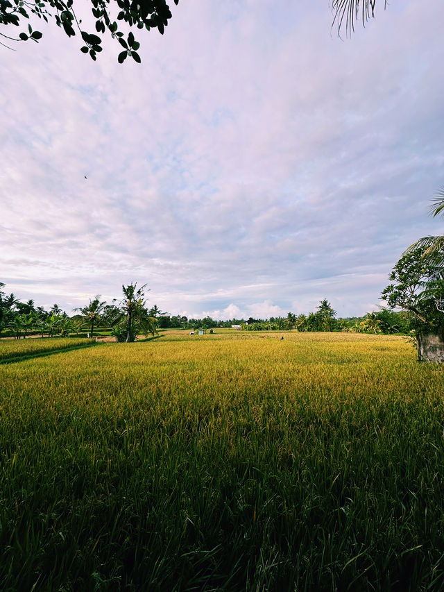 Sunrise Serenity at Prabhu Ubud Villa