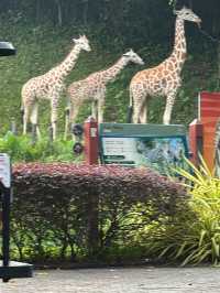 Zoo Negara