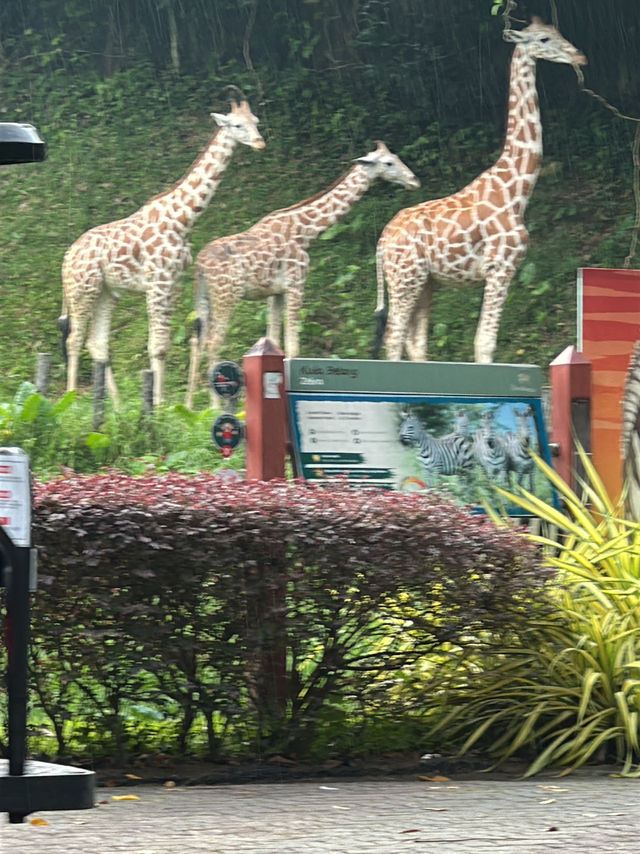 Zoo Negara