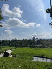 Lombok (10 July - 13 July 2025)
