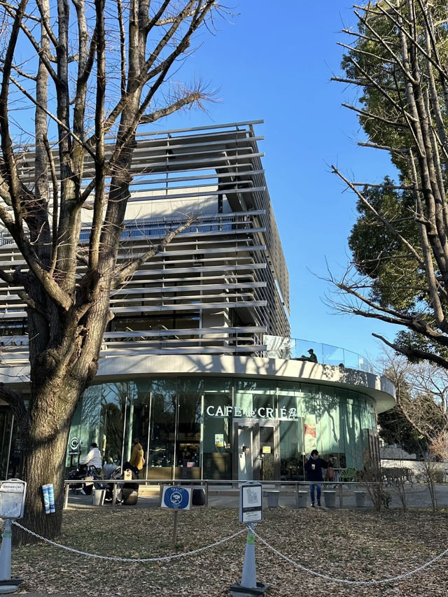 Itabashi Central Library – Tokyo’s Parkside Knowledge Oasis  