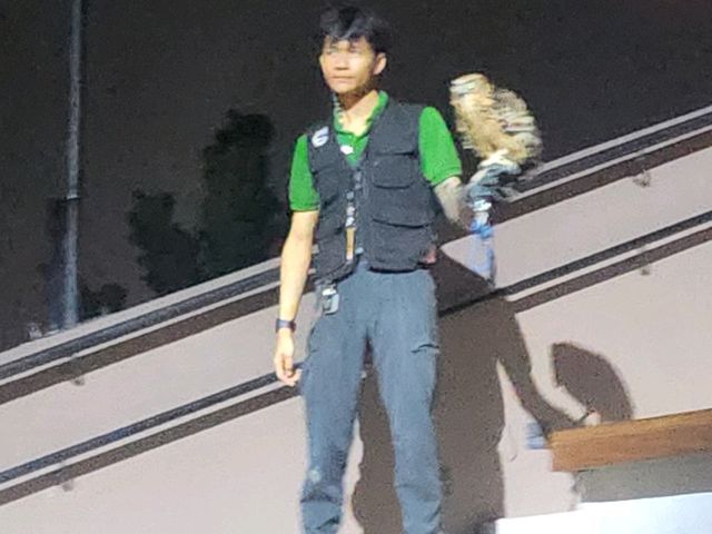 当日フライト予約でシンガポールひとり旅
