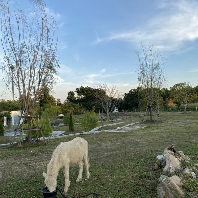 Boundary Hill สวนผึ้ง🏠