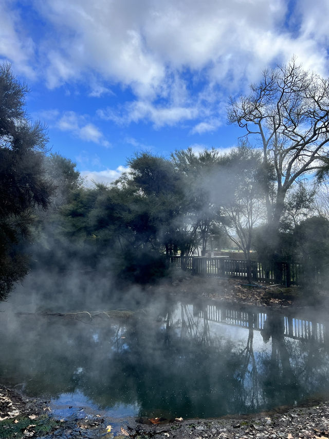 🏞 Rotorua Kuirau Park – 自然沸湯中的城市綠洲