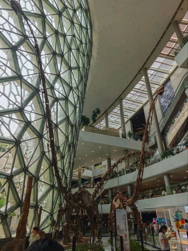上海親子旅行最值得來的地方，雨天備案也很合適喔
