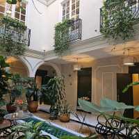Hotel Gravina 51