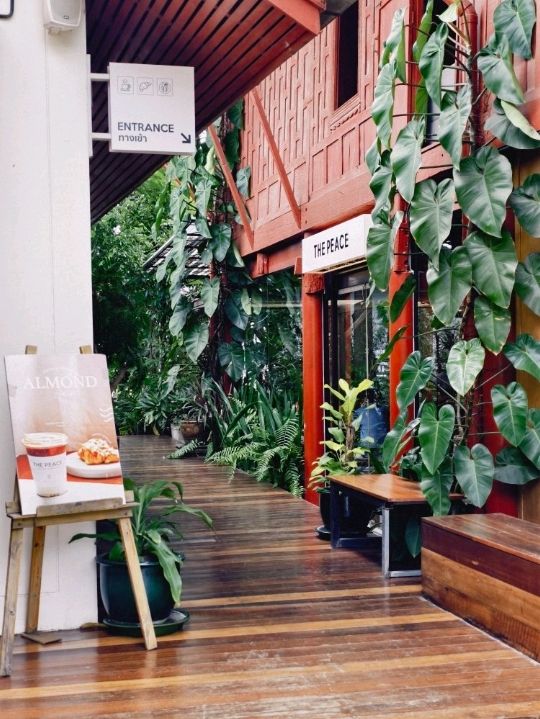 The Peace Coffee - ดําเนินสะดวก