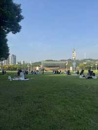 DAEGU 대프리카 100배 즐기기 🔥