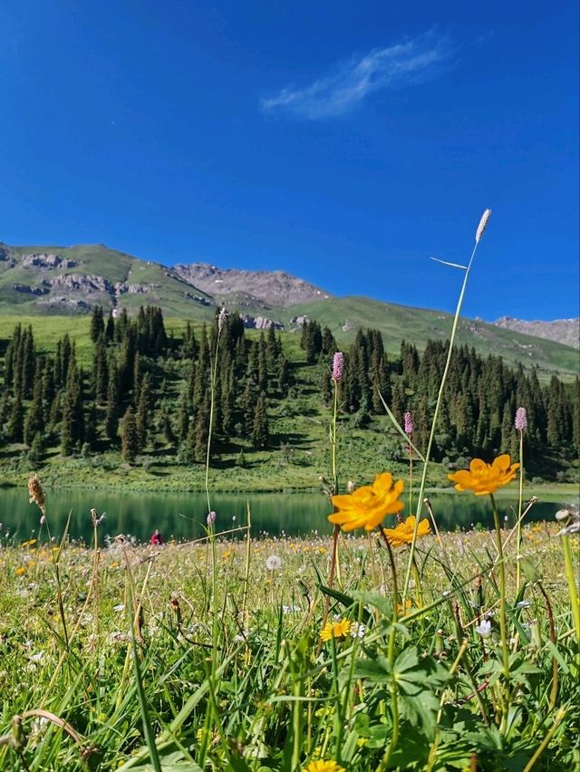 Emerald Fairy Lake: A Jewel Nestled in the Wilderness