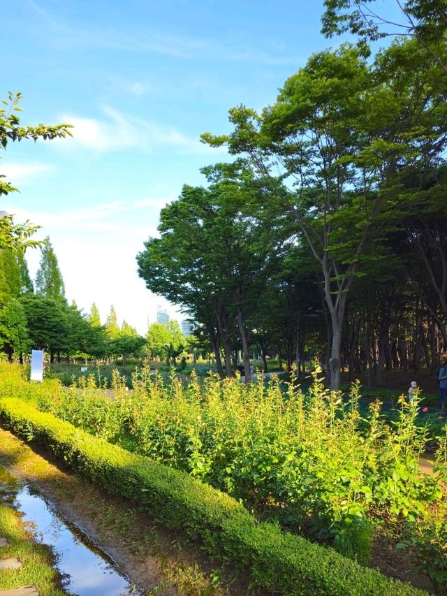 솟도 가볼만한 공원