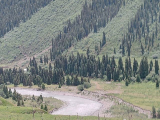 Duku Highway: Traversing the Tianshan, Embracing Grandeur