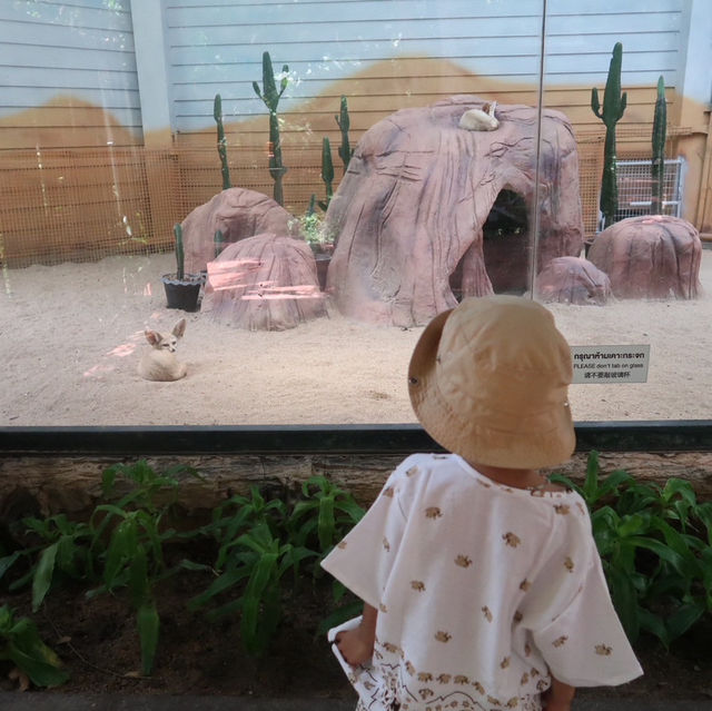 NIGHT SAFARI จ.เชียงใหม่