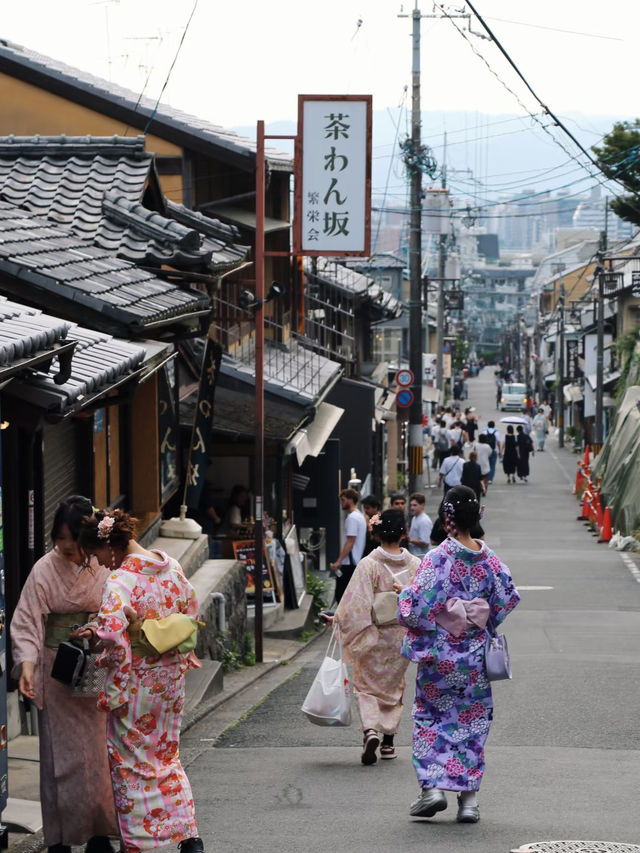 🇯🇵 Japan 11D10N Budget Trip | Under RM4,100!