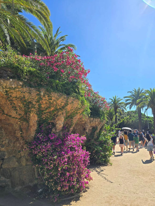 Parc Güell