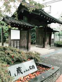 【東京　駒込　神社と公園、庭園めぐり】
