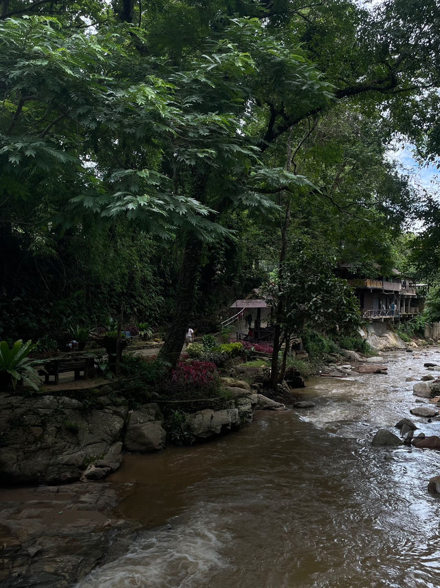 ปางช้างแม่สา🐘🍃