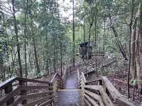 Nature – Beaches – Culture – Night Views ✨ No shopping – Includes tropical forest hikes, beaches, Li