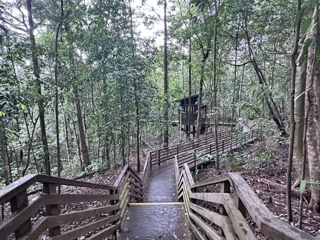 Nature – Beaches – Culture – Night Views ✨ No shopping – Includes tropical forest hikes, beaches, Li