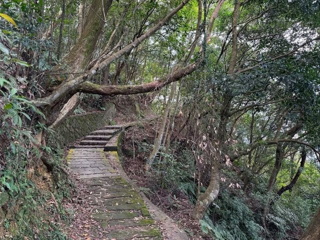Longchuan Rock Was Like a Nature Playground with Cool Views